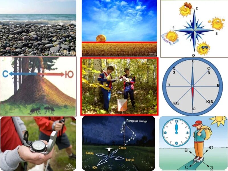 Белорусские учебники человек и мир. Тетрадка по человеку и миру 5 класс. Рабочая тетрадь человек и мир 3 класс. Ориентирование. Человек и мир пятый класс.