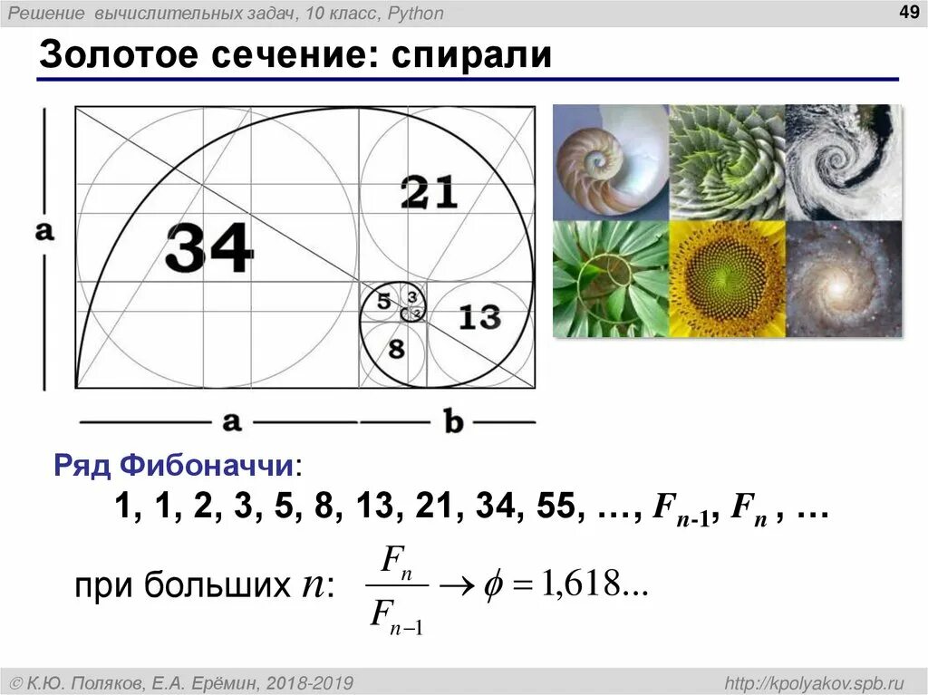 Золотое сечение рентгенодиагностические центры. Золотое сечение. Спираль золотого сечения. Золотое сечение в предметах. Золотое сечение макет.