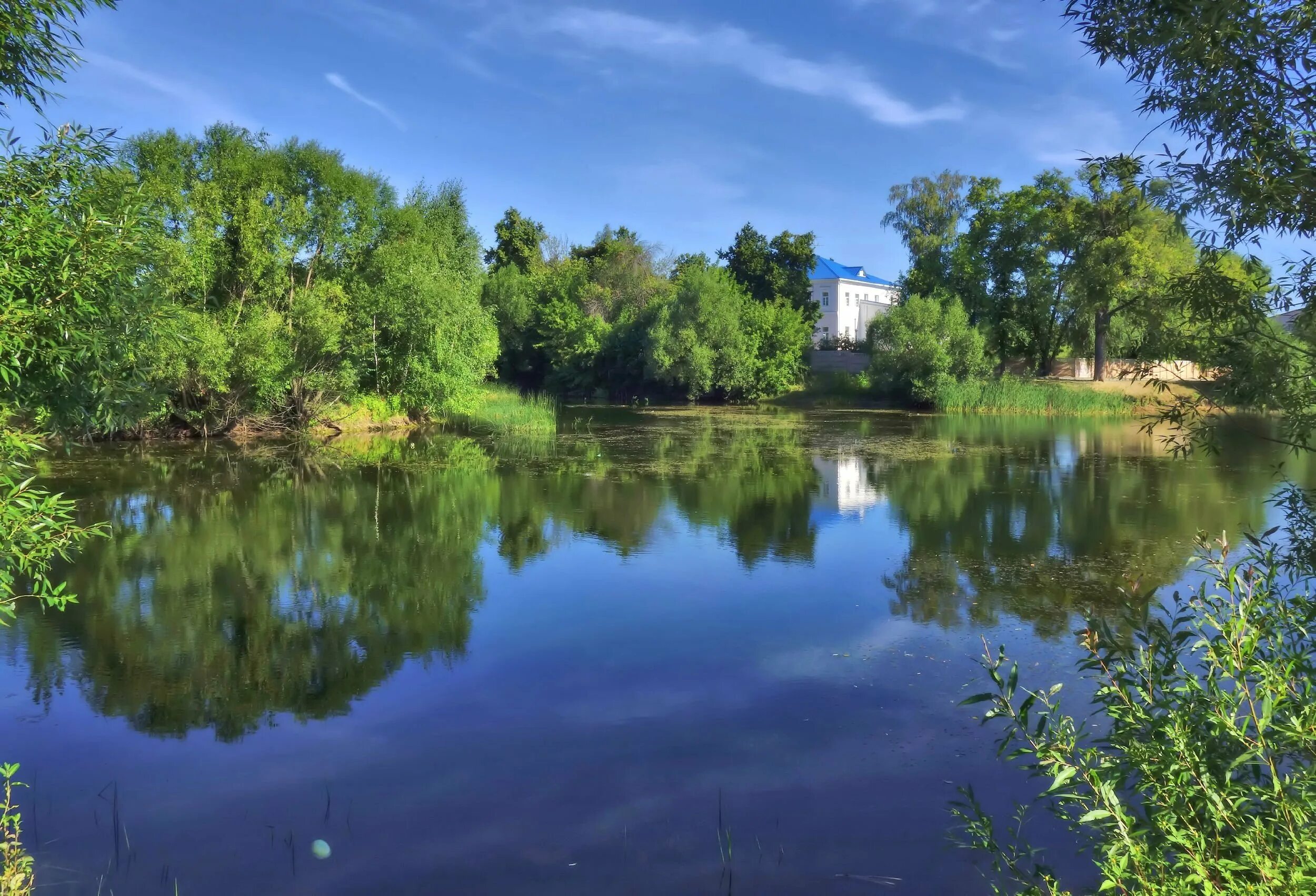 снт чистые пруды. база отдыха чистые пруды моршанск. тамбов чистые пруды. чистые пруды поселок аннолово. снт чистые пруды.