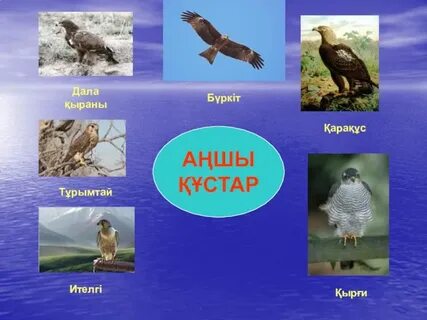 Кішкентай пениса бар онлайн порно видео