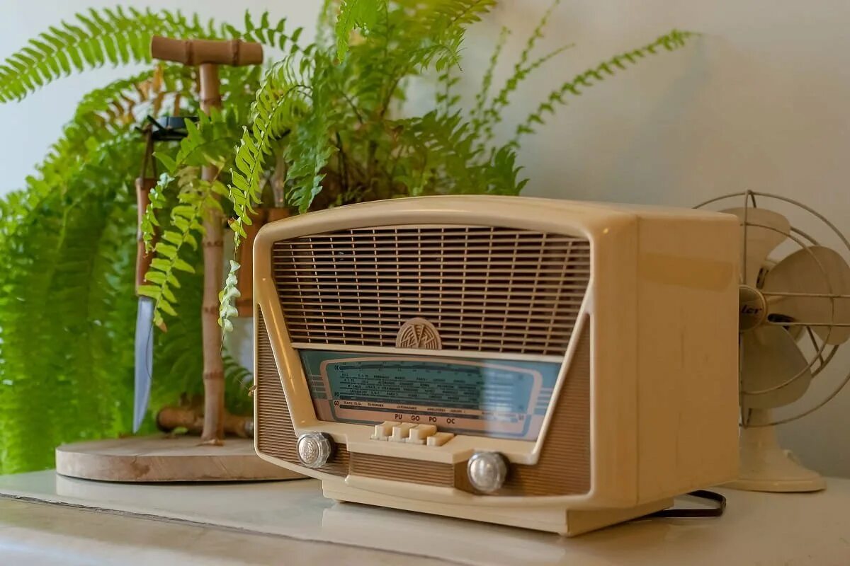 оборудование для радиостанции. аппаратура для радиовещания. ленинградский дом радио. радиовещание дома. приемник для телевизора.