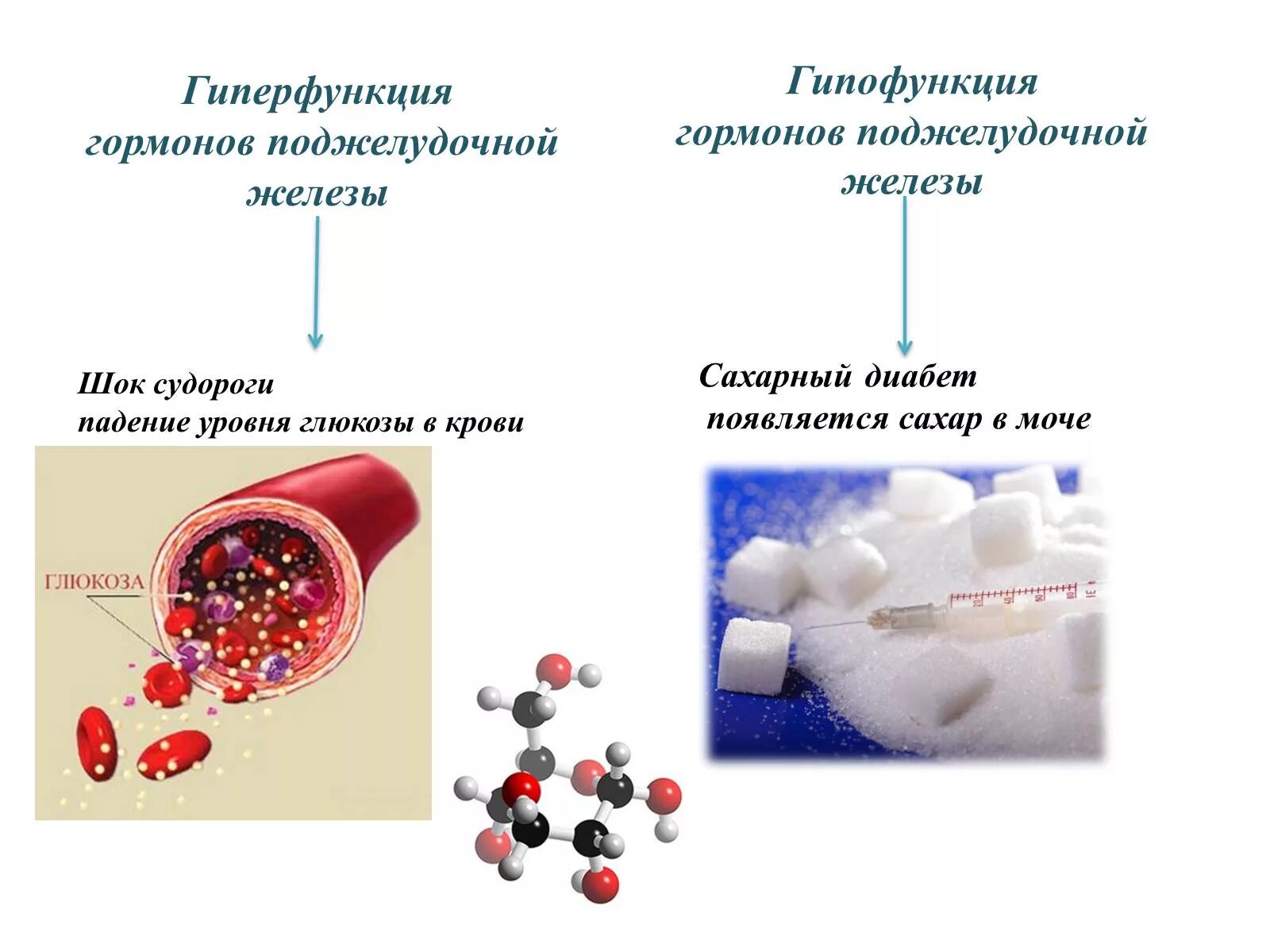 Гиперфункция гормоны. Кровь на гормоны. гиперфункция поджелудочной железы. поджелудочная железа гипофункция и гиперфункция. выработка гормонов в кровь.