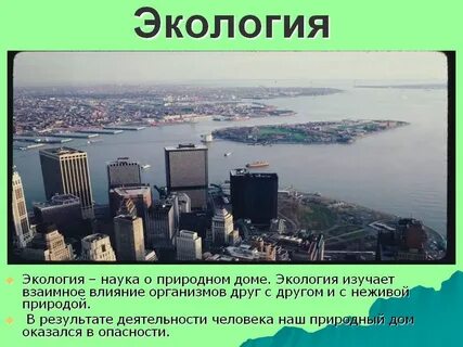 Доклад про экологию 3 класс
