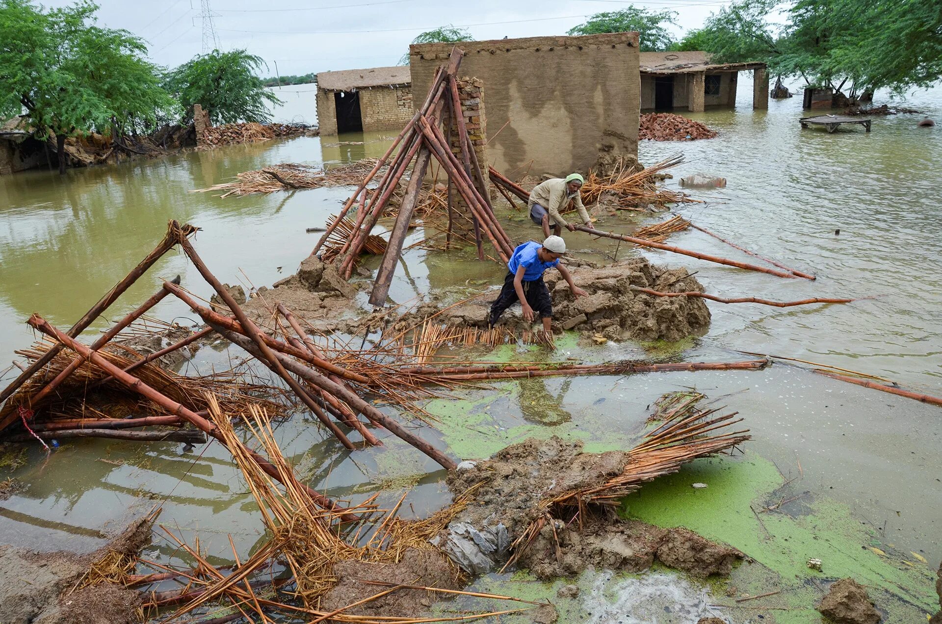 После потопа after the flood