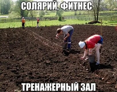 Ничего садить не буду