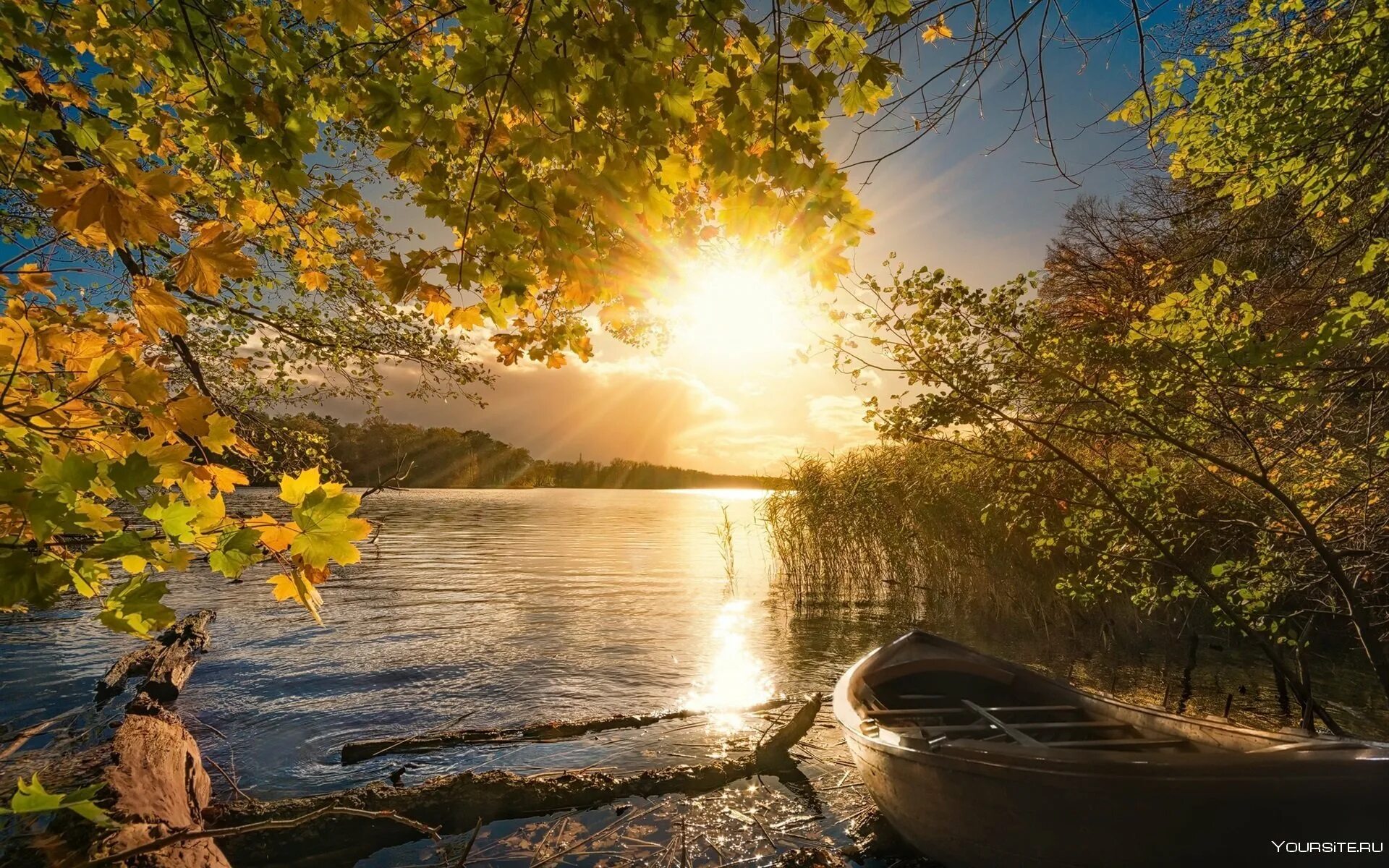 Осень красивое утро картинки. Золотая осень река Ишим. Природа. Осеннее озеро. Спокойный пейзаж.