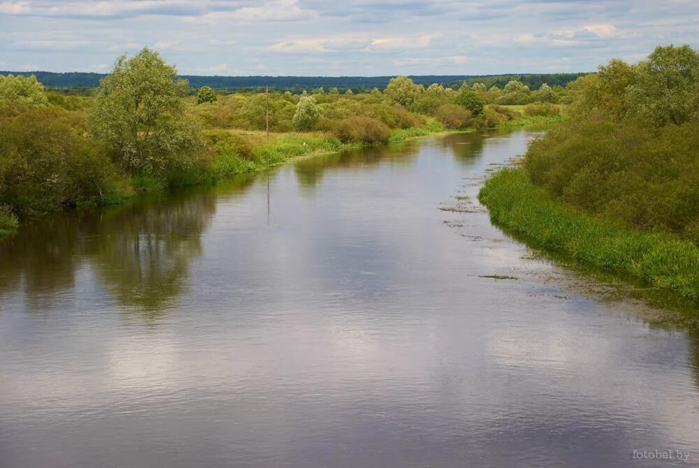 левый приток реки щара. деревня щара. левый приток реки щара. река щара. дом с прудом в мостовском.