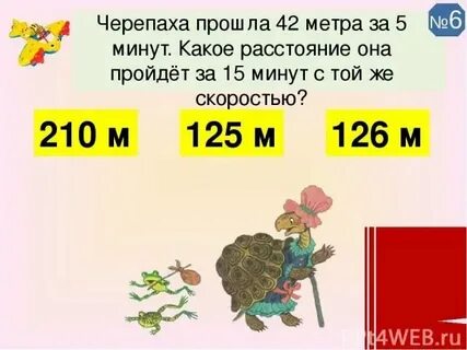 Скорость черепахи в час в метрах