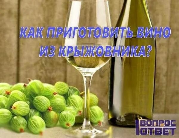 Вино из зеленого крыжовника. Крыжовниковое вино. Вино из зеленого крыжовника. Рецепты вина, — из крыжовника, девушка. Вино из зеленого крыжовника.