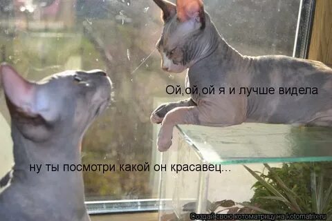 Ну видишь хорошо