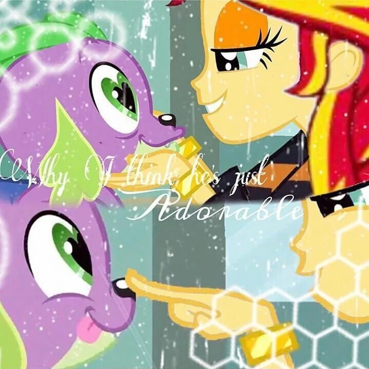 Спайк и сансет. Spike x sunset shimmer. спайк и сансет шиммер любовь. спайк и сансет любовь. сансет шиммер и спайк дружба.