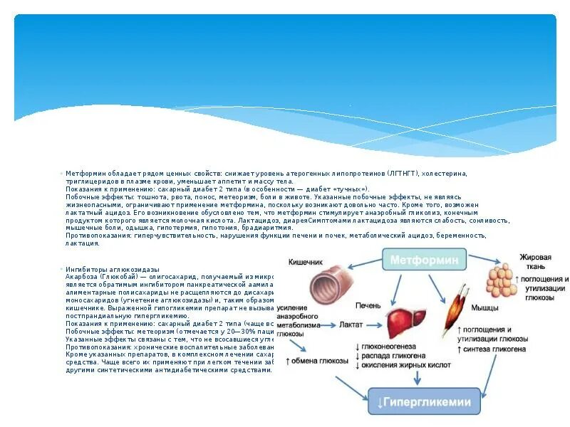 Метформин почему нельзя. Нежелательные эффекты метформина. Механизм работы метформина. Метформин механизм действия показания. Побочка метформина.
