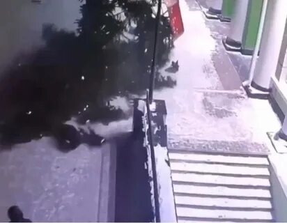 Падение ели