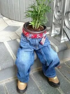 Штаны горшка