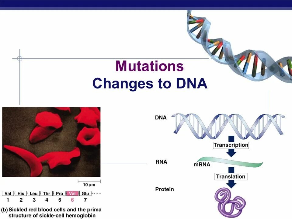 Change the following. Мутация 4. mutated dna. change in dna. mutation ppt.