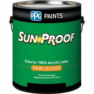 Paint 100