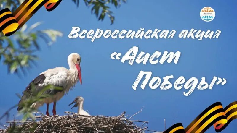 Конкурс аист победы. Конкурс аист победы. Рисунок на тему моё зауралье. Конкурс аистов. Конкурс аист победы.
