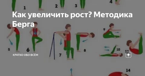 Методика берга