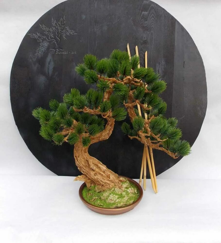 Сосна тунберга бонсай. Искусственные деревья для диорам. Как сделать сосну. Как сделать сосну. Как сделать сосну.