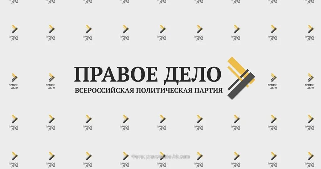 Правое дело. Правое дело партия. Правое дело логотип. Партия правовое дело.