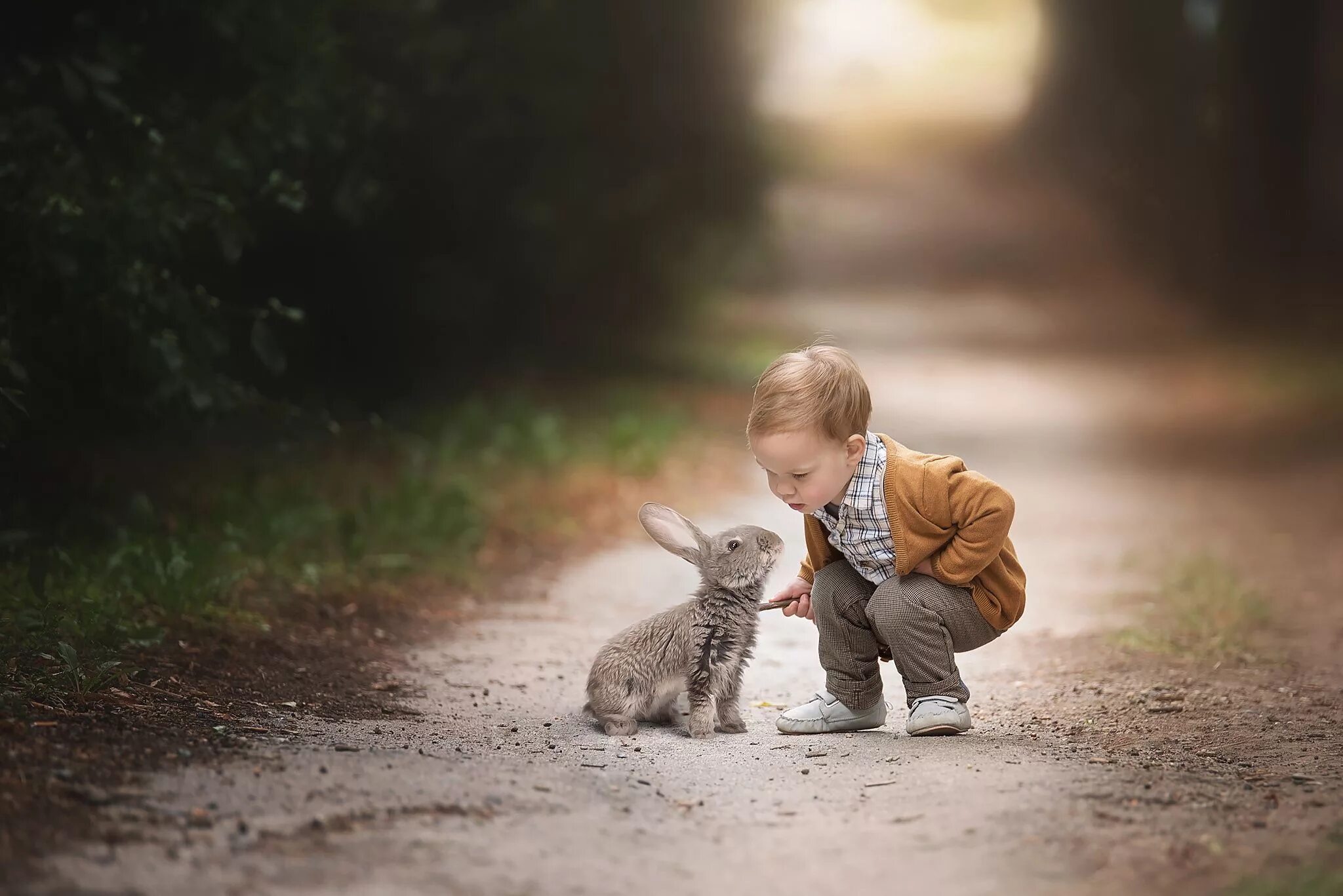 Дети и животные доброта. Любовь детей к животным. Домашние животные для детей. Доброе отношение к животным это. Добрые поступки.