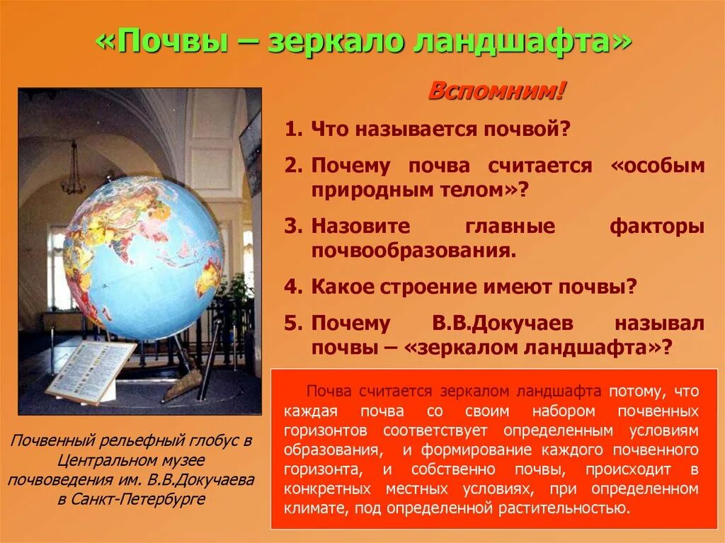 Под определенной растительностью