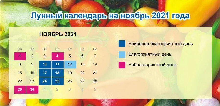 Лунный календарь на ноябрь. Лунный календарь на ноябрь 2021. Лунный календарь на ноябрь 2021 года. Ноябрь лунный календарь 2021 ноябрь. Благоприятные дни в ноябре 2021.