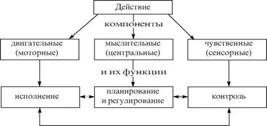 Структурные компоненты педагогической деятельности таблица. Компоненты пнд деятельности гностический. Функции компонентов деятельности. Компоненты структуры деятельности. Функции компонентов деятельности.