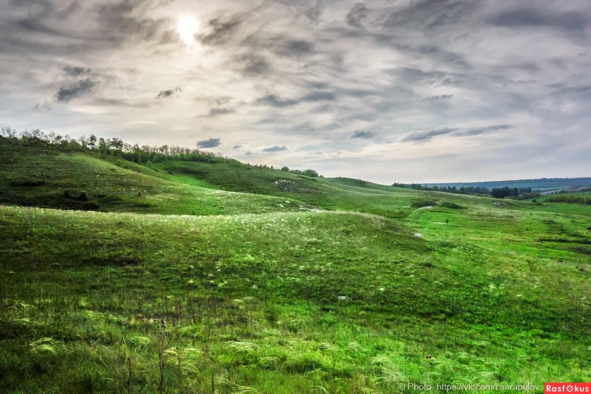 Верхняя часть балки. Хорошо... Урочище Каменная Балка Landscapes and habitat