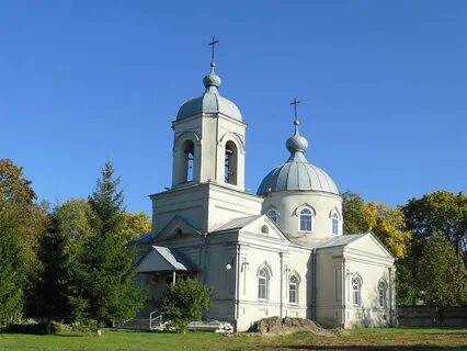 Н п козинки белгородской