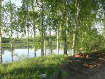 Прибрежный кострома