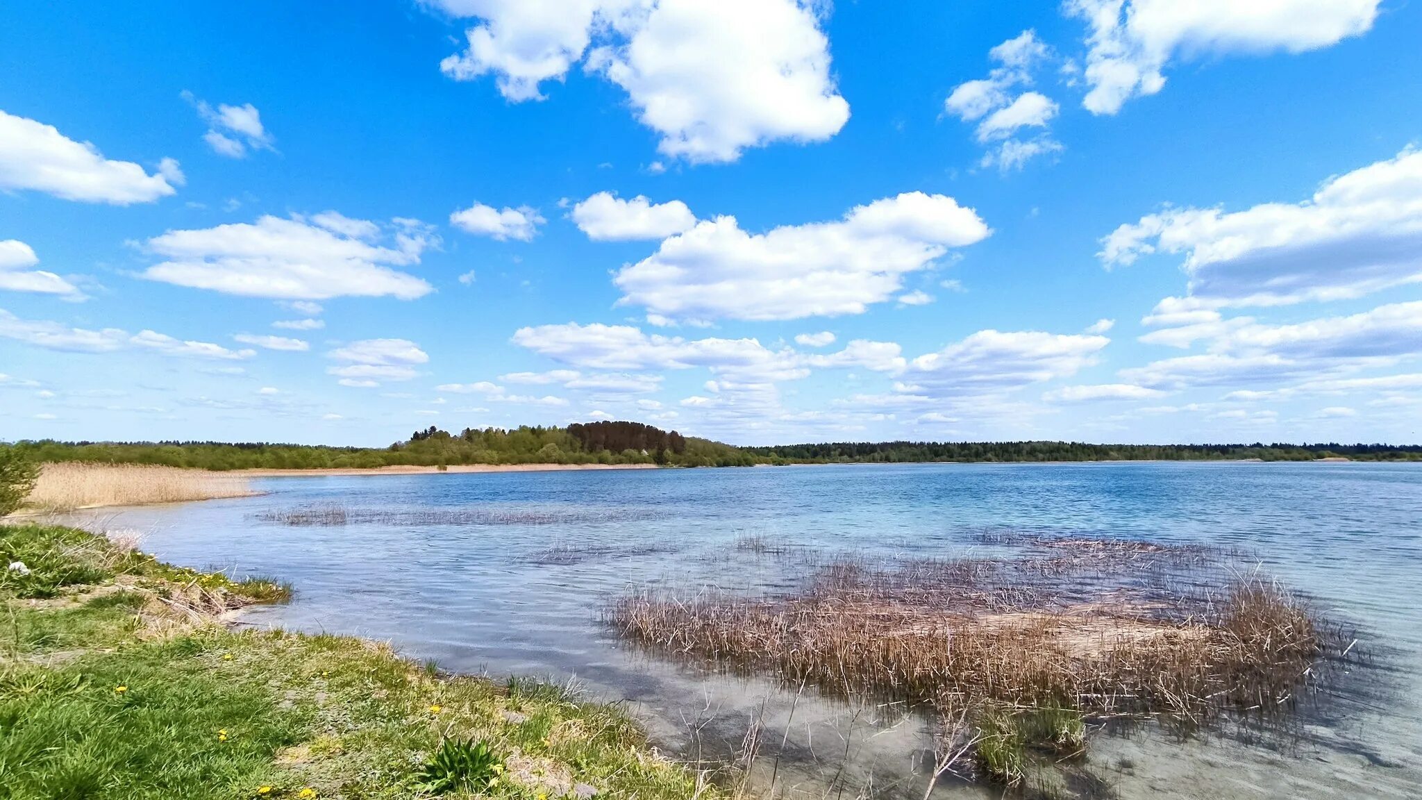 Река оредеж раглицы. Кадастр река оредеж. Река оредеж сиверский. Как люди влияют на оредеж. Спб река оредеж.