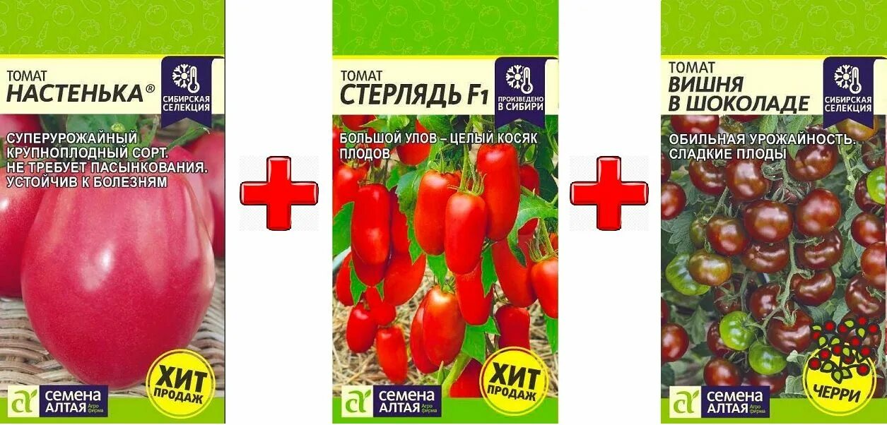 Томат вишня в шоколаде семена. Томат вишня в шоколаде семена Алтая. Томат Настенька семена Алтая. Томат вишня в шоколаде семена Алтая купить. Вальберис томат Настенька отзывы в открытом грунте отзывы.