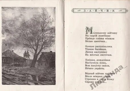 Маленькому зайчику на сырой ложбинке прежде