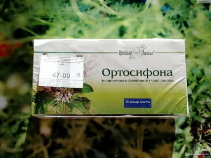 Фитофарм листья ортосифона тычиночного почечного чая отзывы