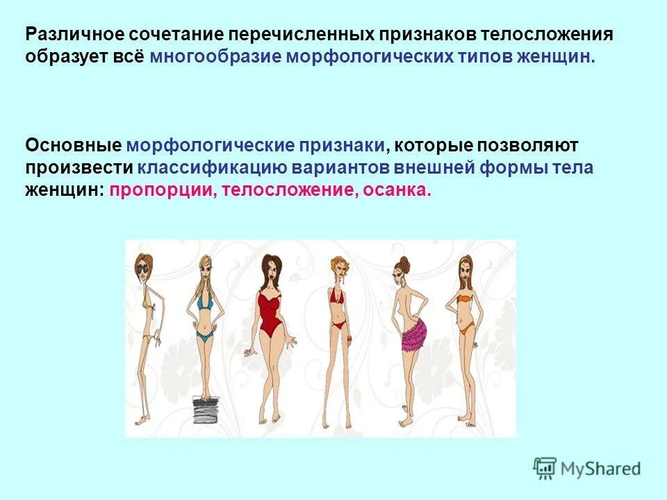 Типы телосложения у мужчин мезоморф. Нормостеник тип телосложения. Основные морфологические признаки. Телосложения по э. Внешние формы и признаки строения тела.