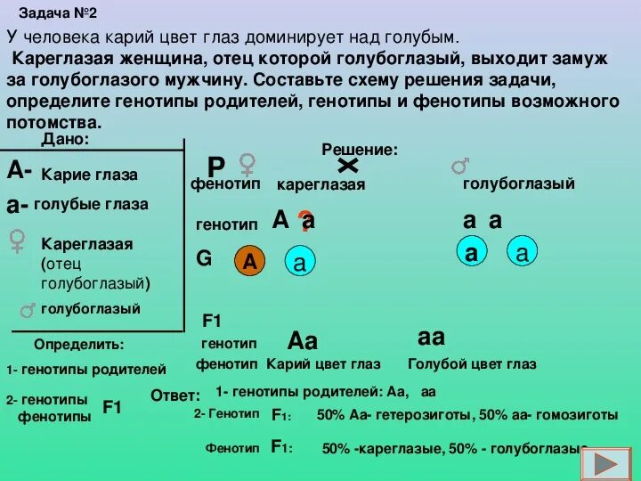 Каков генотип особи аа. Задача на генетику моногибридное скрещивание 9 класс биология. Схема решения задач по генетике. Решение генетических задач по биологии 9 класс с ответами Пасечник. Задачи на моногибридное скрещивание 9 класс биология с решением.