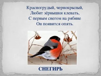 Стихотворение снегирь