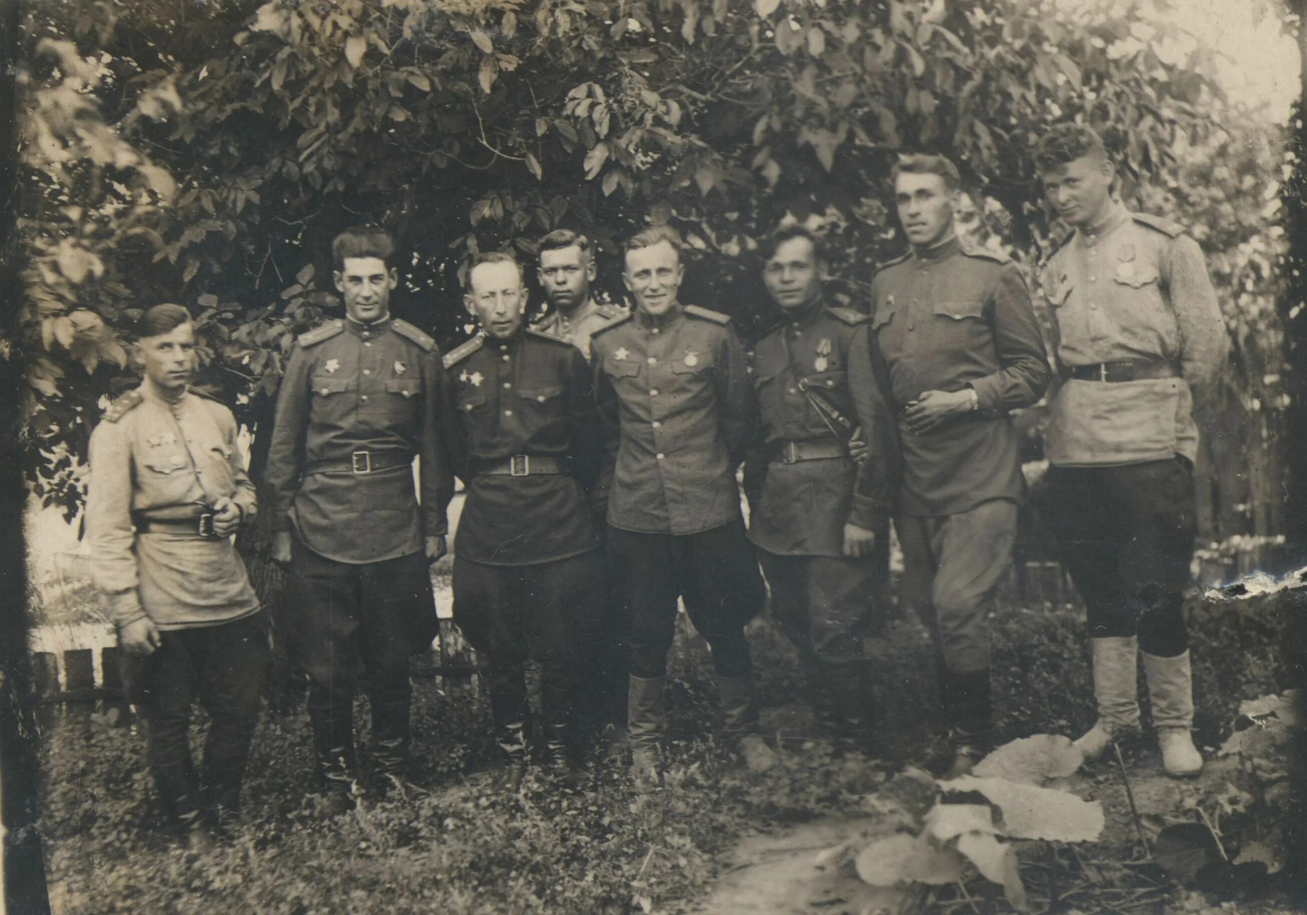 303 стрелковая. 303 стрелковая. 286 сд 1941. 303 стрелковая. 303 дивизия.