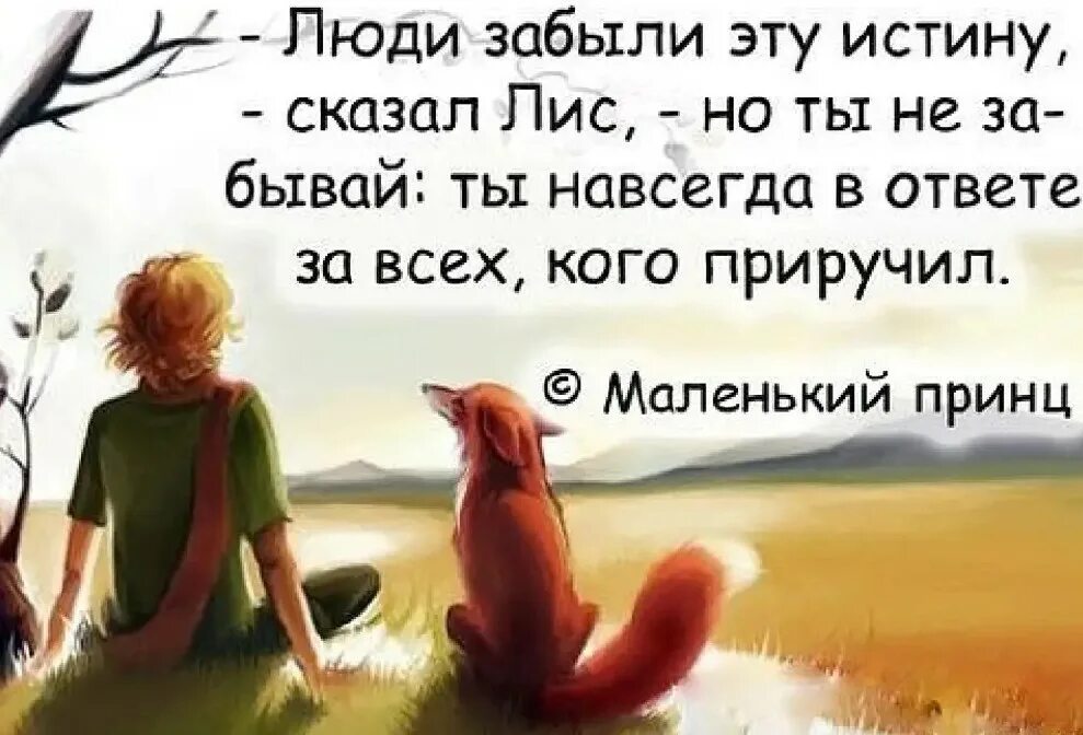 Жить отвечая за все