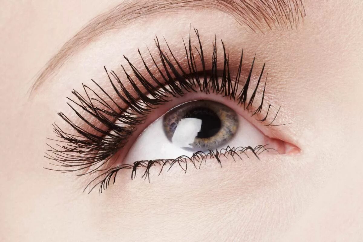 Lashes ресницы наращивание. Эффект маскара в наращивании ресниц. Шикарные ресницы. Красивое наращивание ресниц. Длинные нарощенные ресницы.