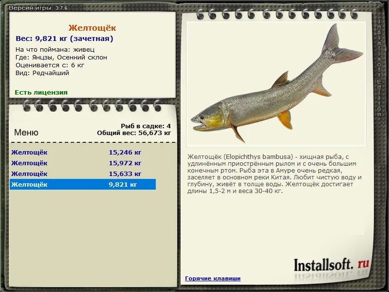 русская рыбалка 3 7 6 амударья черный амур. на что ловится ленок в реальной рыбалке на братском водохранилище. желтощек реальная рыбалка. рр янцзы желтощек. щука реальная рыбалка.