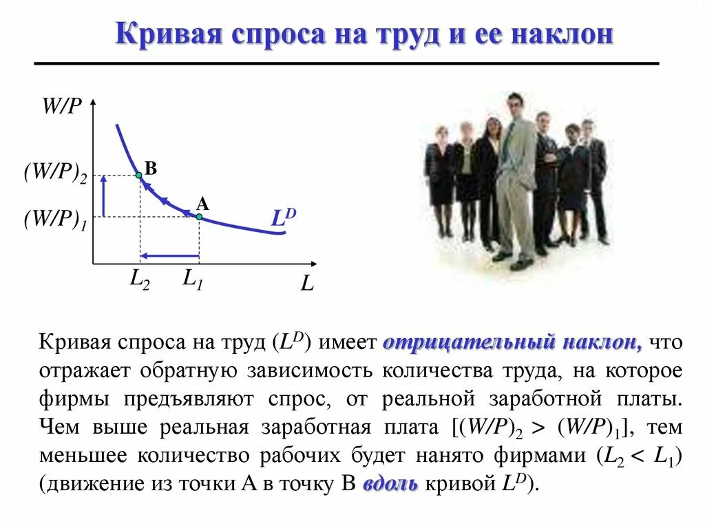 Без спроса имеют. Спрос на рынке труда кривая спроса. Кривая спроса на труд. Кривая спроса и предложения на труд. Кривые спроса и предложения на рынке труда.