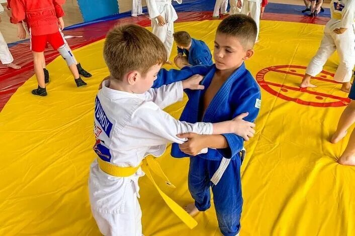 Спортивные секции для мальчиков 7 лет. Спортивные секции для мальчиков 7 лет. Спортивные секции для мальчиков 7 лет. Спортивные секции для мальчиков 7 лет. Единоборства для детей.