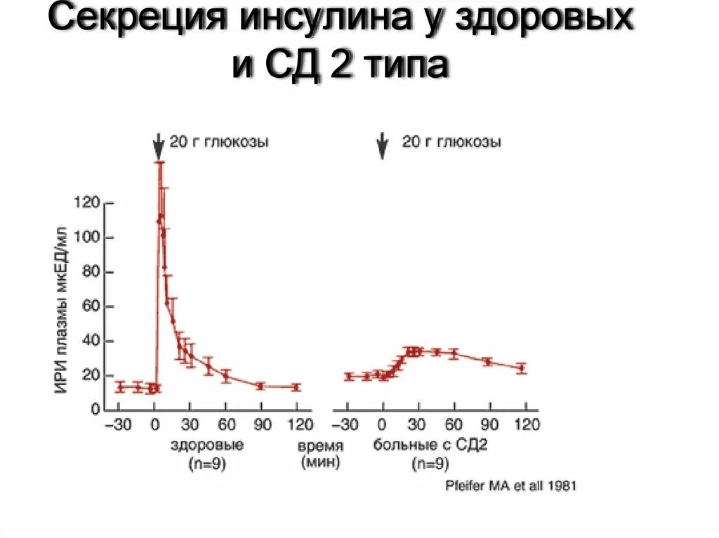 Уровня выработки инсулина. Зависимость инсулина и Глюкозы. Инсулин у здорового человека. Секреция инсулина в норме. СД 2 типа Глюкоза.