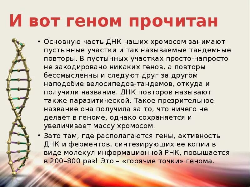 Днк это в биологии кратко. Молекула днк человека. Полуконсервативный механизм репликации. Хромосомы состоят из генов. Генетическая структура днк.