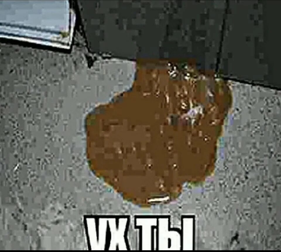 Какашка искать