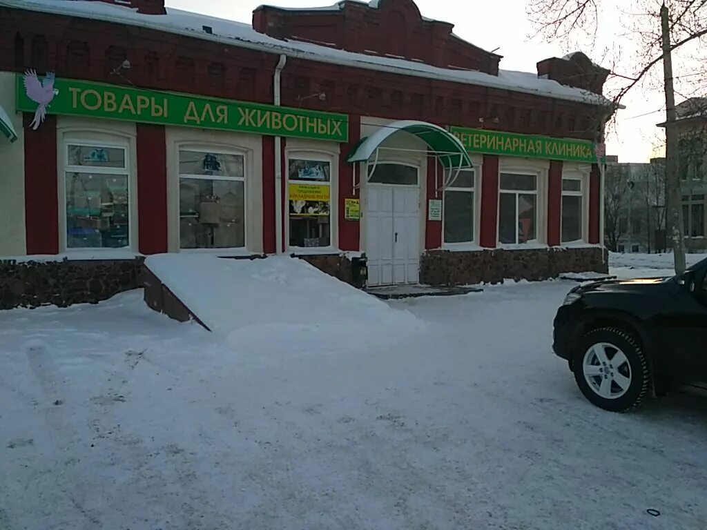 факел социализма 1. ортос балаково. зубная клиника балаково. гиппократ плюс балаково 30 лет победы врачи. клиники балаково адреса и телефоны.