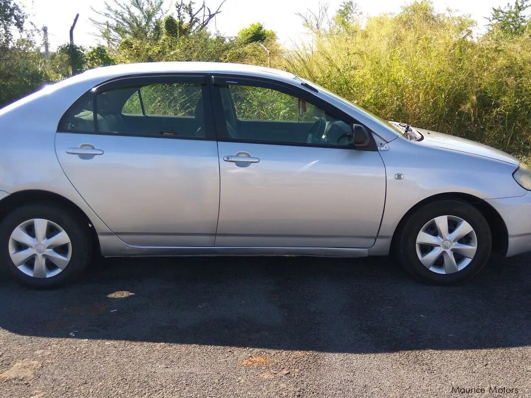 Купить королла 2002. Тойота Королла 2002. Toyota Corolla 2002. Тойота Королла 2002 года седан. Тойота Королла купе 2002.