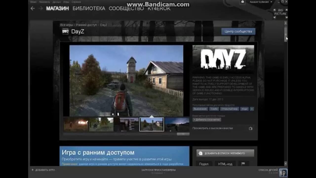 Dayz купить стим. DAYZ В стиме. DAYZ В библиотеке стим. DAYZ игра в стиме. DAYZ по скидке в стиме.